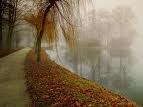 Herbstzeit - Nebelzeit © 