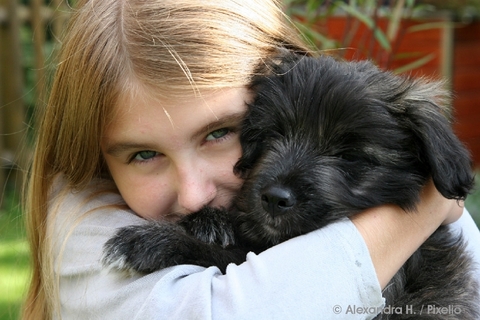 Kind & Hund (Pixelio) © Alexandra H. - Pixelio