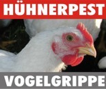 Vogelgrippe-Hühnerpest © 